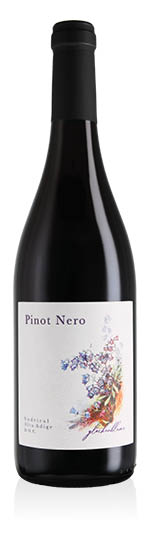 Südtirol - Alto Adige DOC Pinot Nero 2021